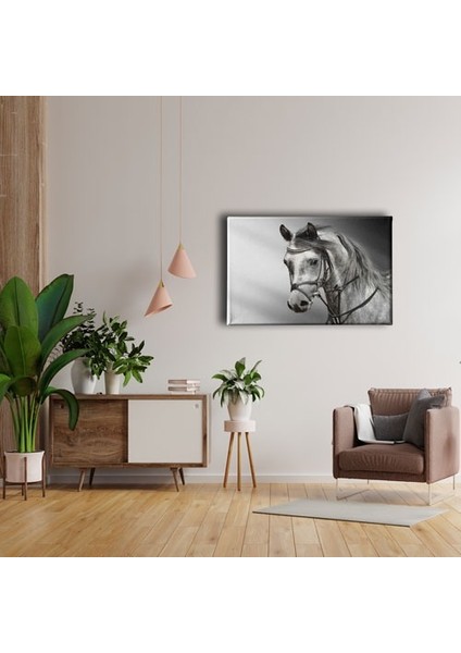 Beyaz At Kanvas Tablo fırsatları
