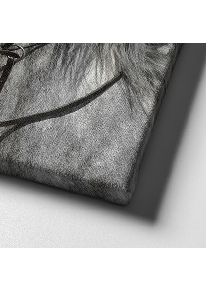 Beyaz At Kanvas Tablo indirimleri