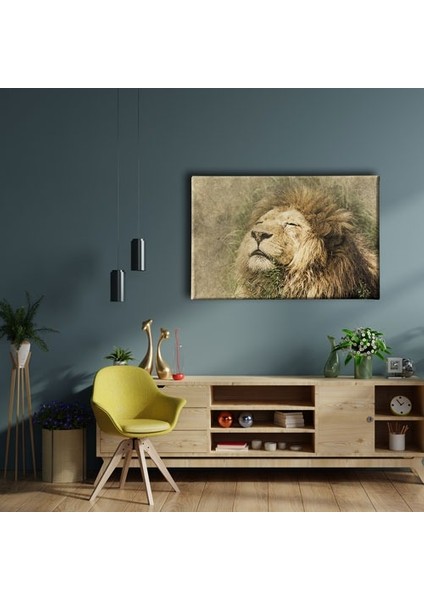 Aslan Kanvas Tablo fiyatları