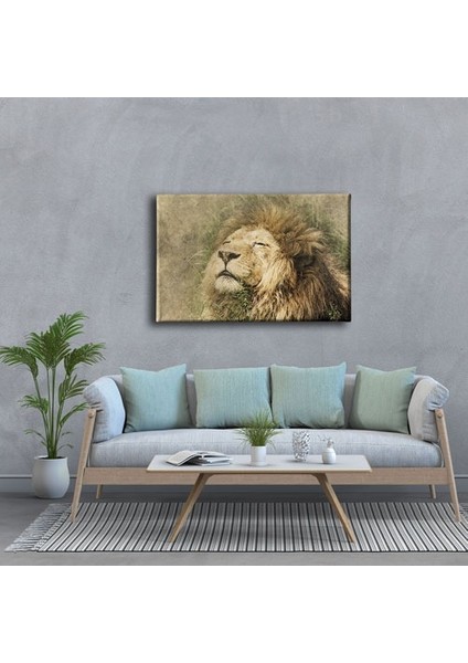 Aslan Kanvas Tablo modelleri