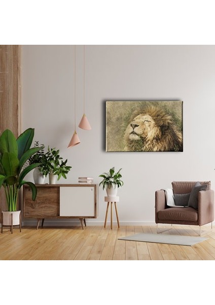 Aslan Kanvas Tablo fırsatları