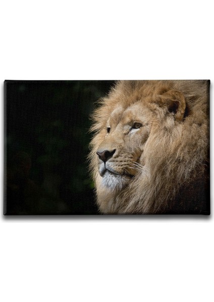 Aslan Kanvas Tablo
