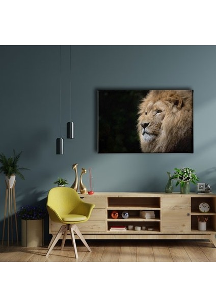 Aslan Kanvas Tablo fiyatları