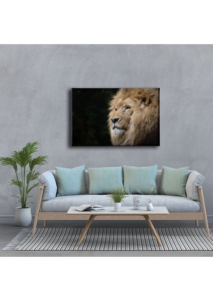 Aslan Kanvas Tablo modelleri