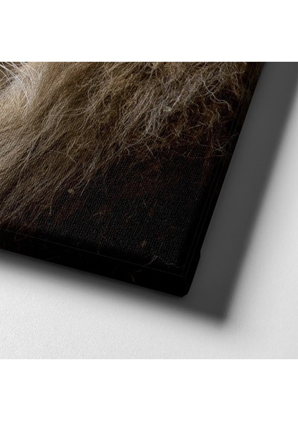 Aslan Kanvas Tablo indirimleri