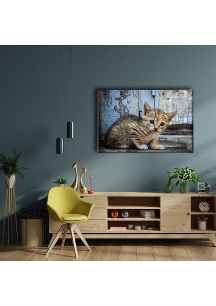 Yavru Kedi Kanvas Tablo fiyatları
