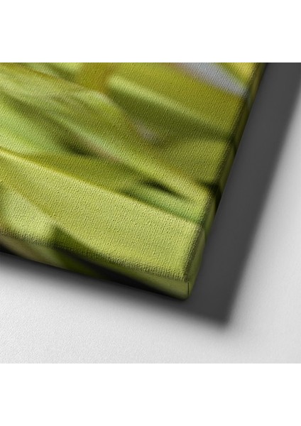 Lale Kanvas Tablo indirimleri