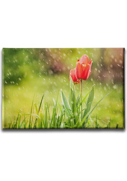 Lale Manzara Tablo