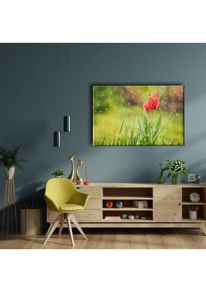 Lale Manzara Tablo fiyatları
