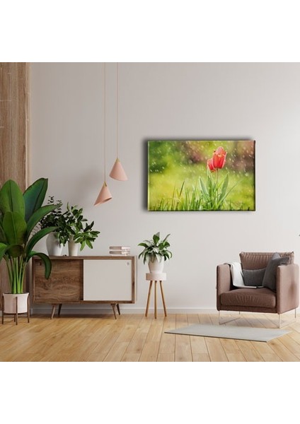 Lale Manzara Tablo fırsatları