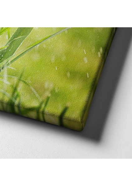 Lale Manzara Tablo indirimleri