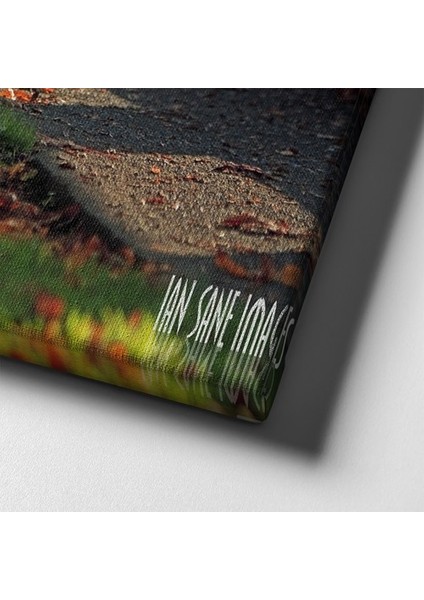 Dekoratif Manzara Tablo indirimleri