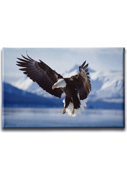 Kartal Kanvas Tablo