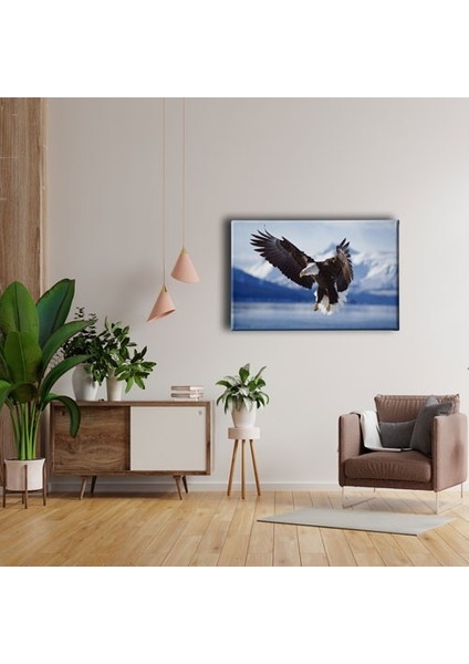 Kartal Kanvas Tablo fırsatları