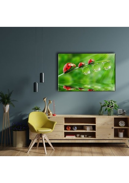 Uğur Böceği Kanvas Tablo fiyatları