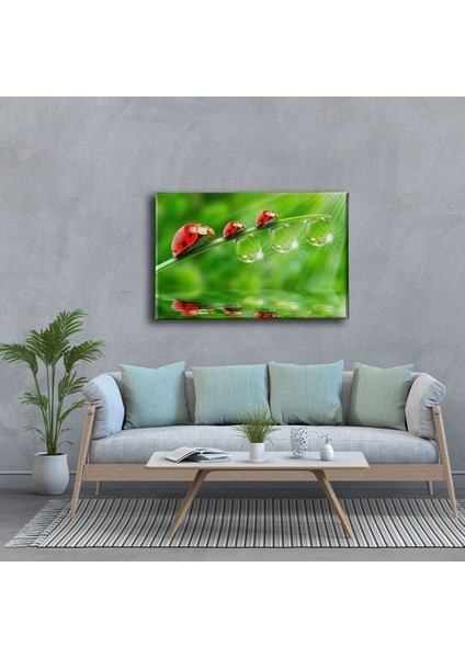 Uğur Böceği Kanvas Tablo modelleri