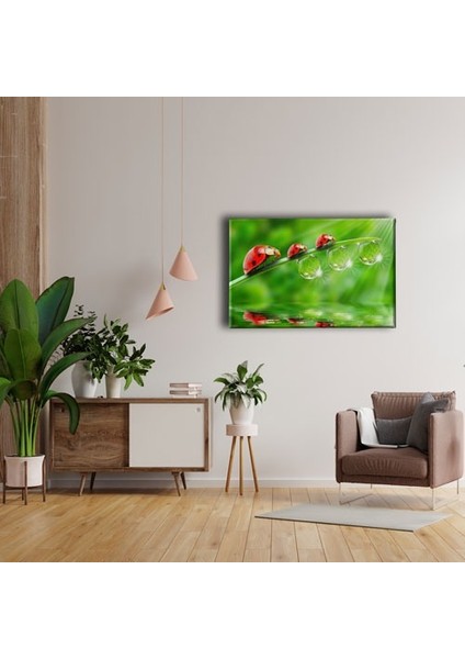 Uğur Böceği Kanvas Tablo fırsatları