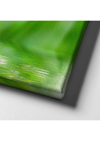 Uğur Böceği Kanvas Tablo indirimleri