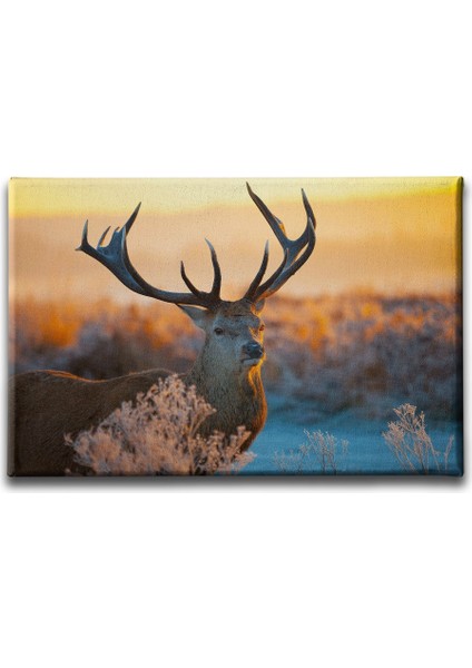 Geyik Kanvas Tablo