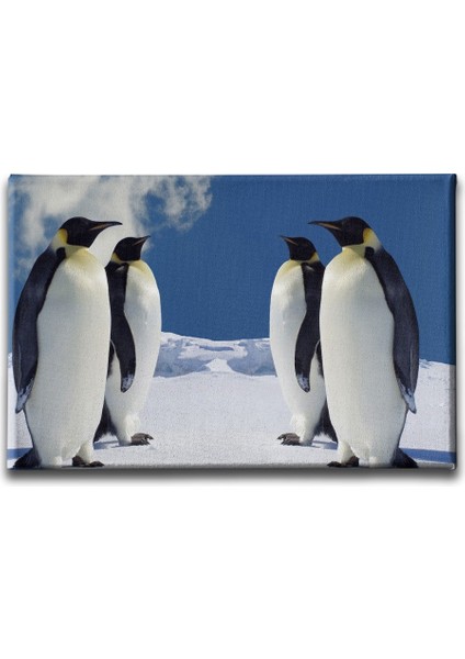 Penguen Kanvas Tablo