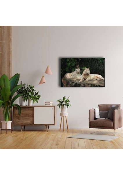 Kaplan Kanvas Tablo fırsatları