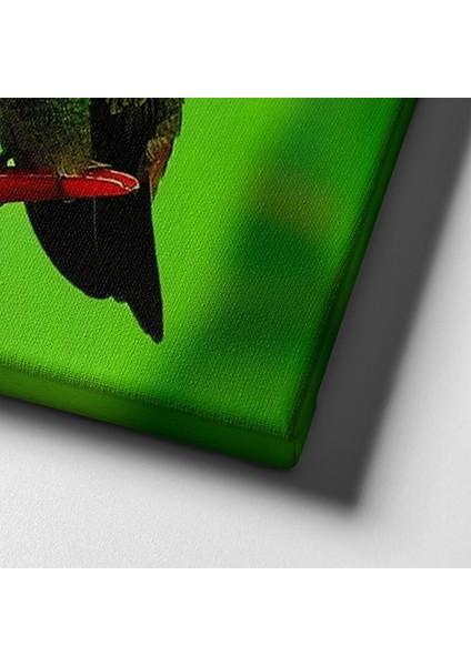 Sinek Kuşu Kanvas Tablo indirimleri