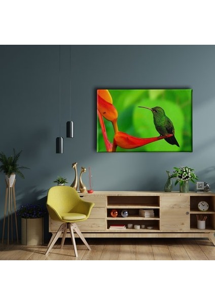 Sinek Kuşu Kanvas Tablo fiyatları