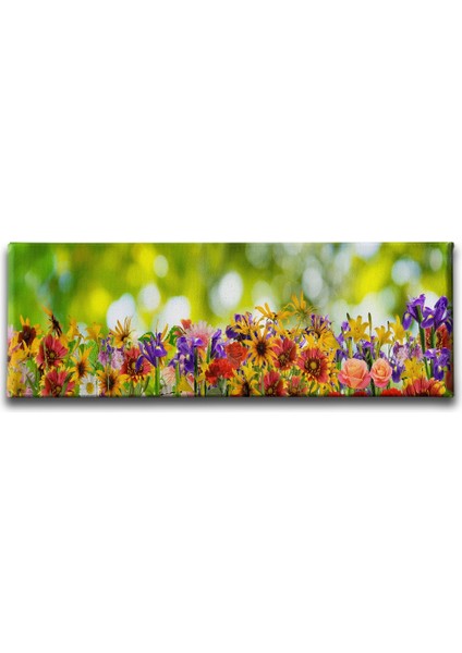 Bahar Çiçekleri Panoramik Kanvas Tablo