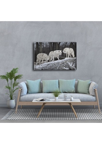 Kurtlar Kanvas Tablo modelleri