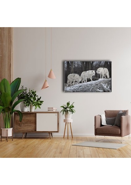 Kurtlar Kanvas Tablo fırsatları