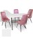 Japon Werzalit - Çırağan Mutfak Masa Takımı (80X120) - (Beyaz - Pembe) 1