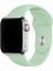Classic Silikon Apple Watch Kordon 38-40-41mm Fosforlu Yeşil 1