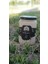 Çelik Suyu (Demir Suyu) 660 ml 3