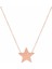 Yıldız Bayan Gümüş Kolye 1