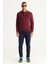 ALTINYILDIZ CLASSICS Erkek Bordo Standart Fit Normal Kesim Polo Yaka Pamuklu Triko Kazak 2