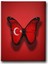 Türk Bayraklı Kelebek Kanvas Tablo 1