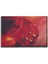 Zar Canvas Tablo 1