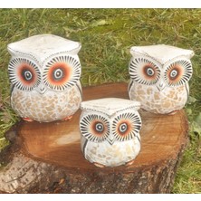 Elifeshop El Yapımı Doğal Ahşap 3’lü Baykuş Biblo Seti Bahçe Duvar Ofis Konsol Süsü Dekoratif & Hediyelik Obje