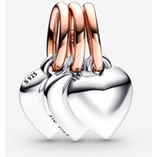 Poseidons Jewellery Iki Renkli Ayrılabilir Kalpli Aile Nesli Üçlü Sallantılı Charm