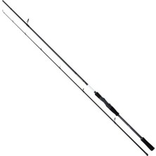 SHIMANO Bassterra Xt+ Spin 244 cm 5-28 gr Spin Kamışı