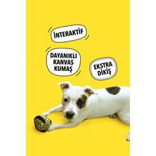 WufWuf Havhav Lotus Interaktif Köpek Oyun Topu, Mama Saklamalı Köpek Oyuncağı