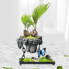 Niazi Drenaj Deliği İle Stro Pot Bonsai Pot Kaya İle Kare Için Tencere Tenceresi (Yurt Dışından)