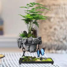 Niazi Drenaj Deliği İle Stro Pot Bonsai Pot Kaya İle Kare Için Tencere Tenceresi (Yurt Dışından)