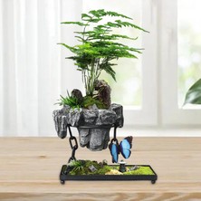 Niazi Drenaj Deliği İle Stro Pot Bonsai Pot Kaya İle Kare Için Tencere Tenceresi (Yurt Dışından)