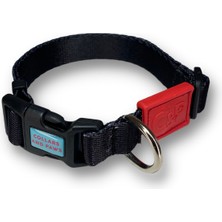 Collars and Paws Köpek Boyun Tasması Düz Renk