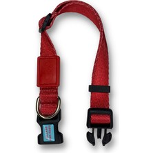 Collars and Paws Köpek Boyun Tasması Düz Renk