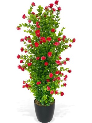 Nettenevime Yapay Çiçek Siyah Saksıda Kırmızı Mineli Şimşir Ağacı 55CM