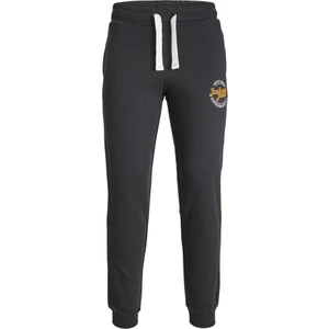 Jack & Jones Jpstgordon Jjmıkk Sweat Pant Nafa Siyah