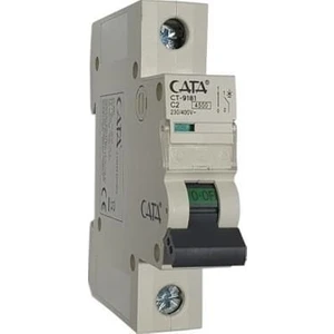 CT-9181 2 Amper V Otomat