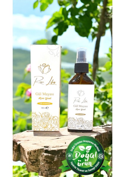 Saf Gül Mayası 100 ml